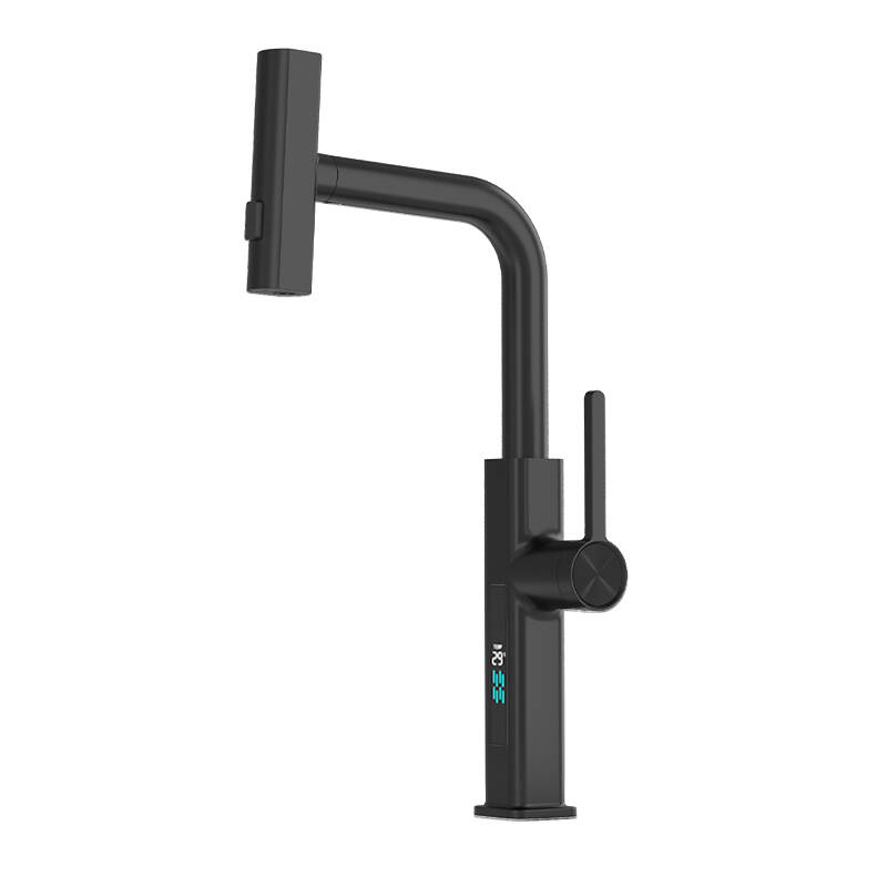 5670 Feiyu digital display kitchen pull basin faucet Black hot and cold water can be rotated telescopic pull