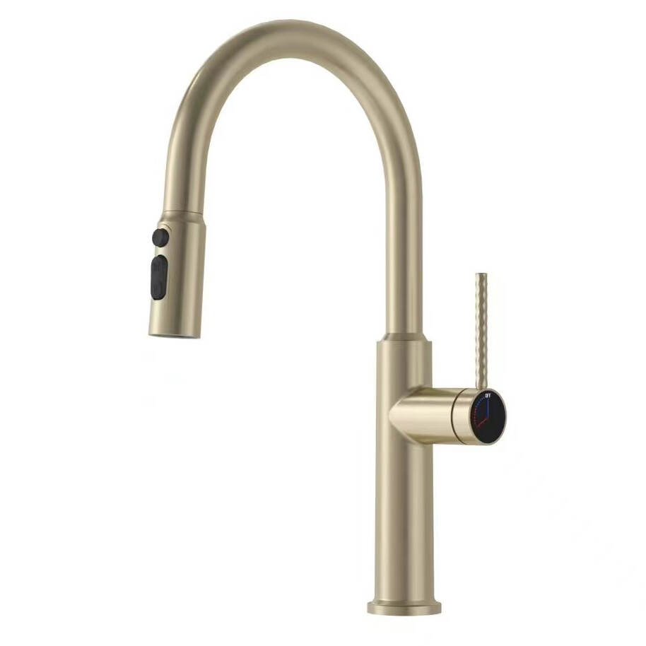 5686 FJT 6040 Pull-out dish drawing gold copper kitchen pull-out faucet Hot and cold dish retractable faucet