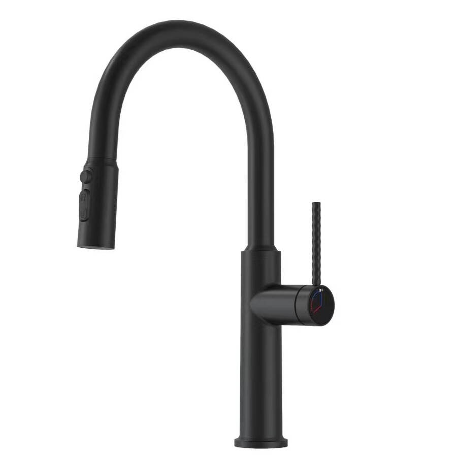 5688 FJT 6040 Pull-out basin Black copper kitchen pull-out faucet Hot and cold wash basin retractable faucet