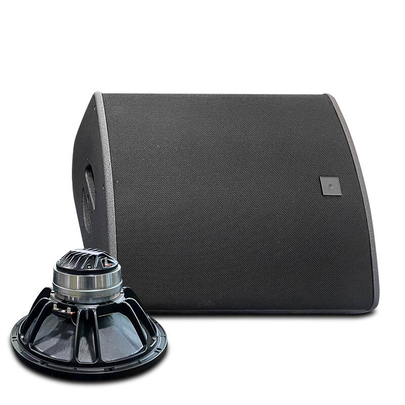 XT-12 12 Inch 2 Way Neodymium Coaxial Stage Monitor Speaker