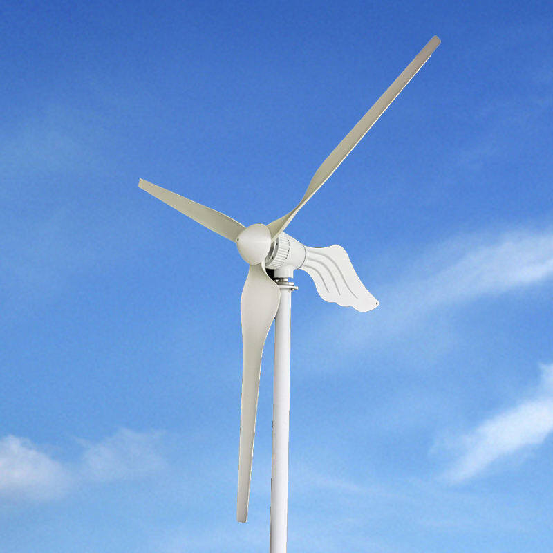 3000w wind turbine with 12v 24v 48v 3 blades PWM charge controller