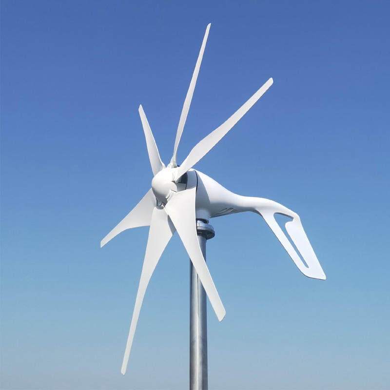 1kw 2kw horizontal axial wind turbine generator with 12V 24V 48V MPPT charge controller