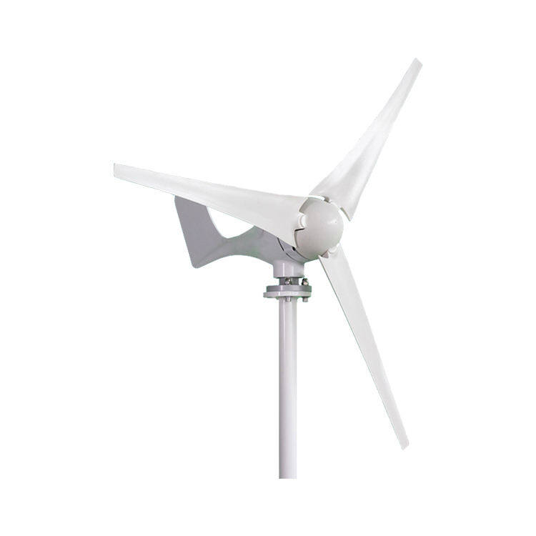 OEM ODM small 800w 12v/24v horizontal axis off-grid wind turbine generator with mppt wind turbine controller