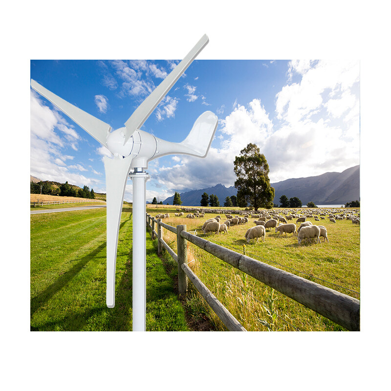 Best Quality Wind Turbine 96V 220V Wind Energy Generator 3000W Windmill With Controller