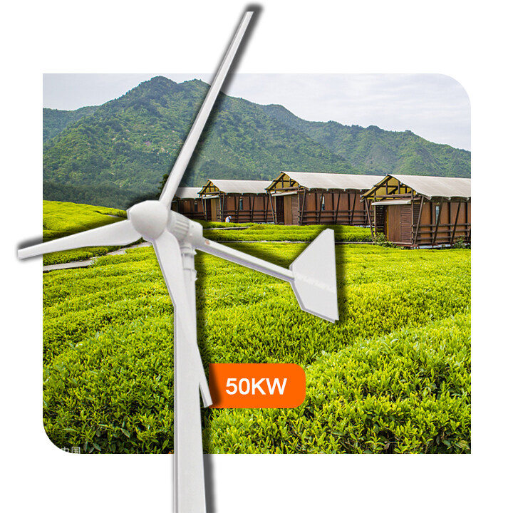 50kw Outer rotor Household/factory/power grid horizontal axis 120V/240V/380V/440Vwind turbine