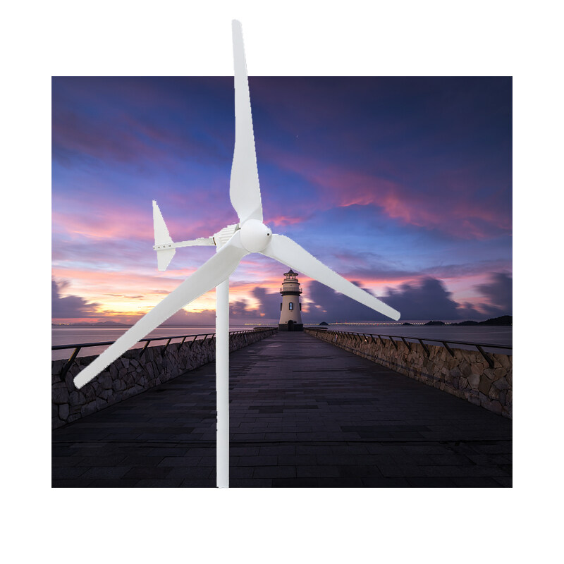 8kw Horizontal Wind Turbine High Efficiency Easy to Install Equipped With Controller Cheap Price Windmill Turbine Generator