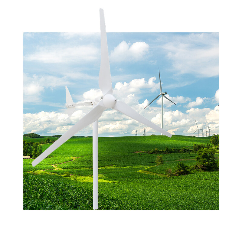 2023 New Arrival SK 6KW 24 48 96 volt Wind Power Products Low Speed Wind Turbines 24V