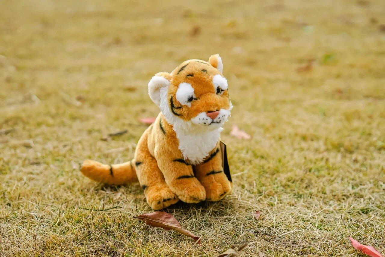 Tiger  Plush Toys