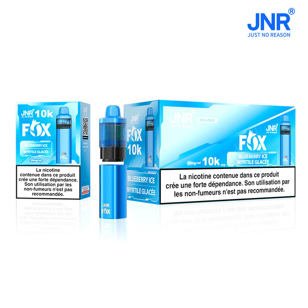 Sigaret Electronique, Meilleur Sigaret Electronique, Vape Wholesale Europe, Fournisseur, Puff Jnr 18K, Jnr Puff Grossiste, Puff Jnr en Gros, Jnr Puff, Jnr Fox Pod Kit, TPD-gesertifiseerde vape, 2ML Prefilled Pod, 10ML Refillable Vape, USB-C-C-laaikading, 20MG NICOTine