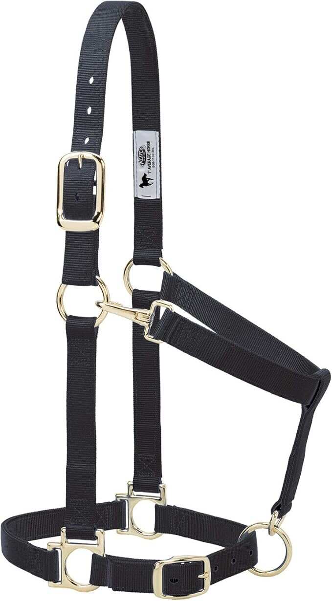 Leather Nylon Horse Halter, Padded and Adjustable, Chin and Throat Snap Hook Halters for Horses, Brass Plated Halters for Traini
