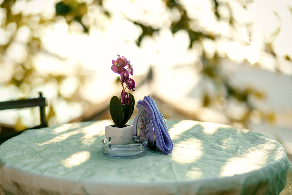 outdoor table in garden.jpg