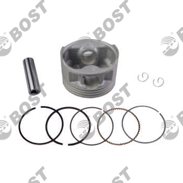 Motorcycle Piston Kit for FZ16