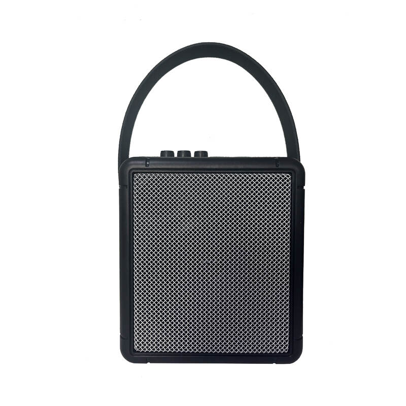 Portable BT speaker with Handle