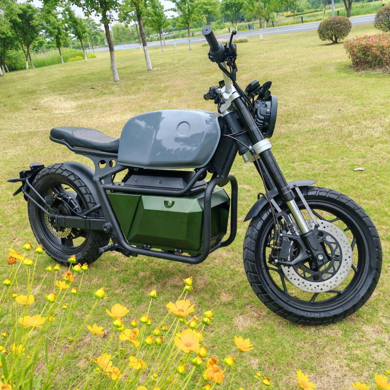 Private Mode Electric motorcycle Convenient Travel  