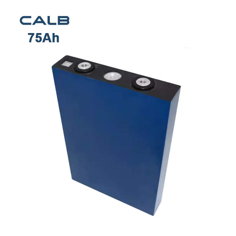 CALB 3.2V 75Ah Prismatic LiFePo4 Cells Lithium Iron Phosphate Batteries