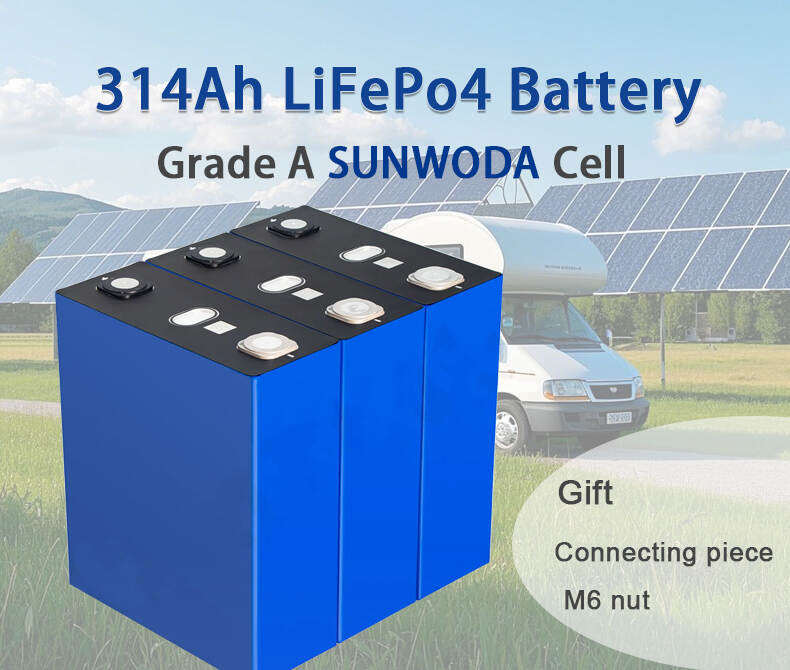sunwoda-cell_01.jpg