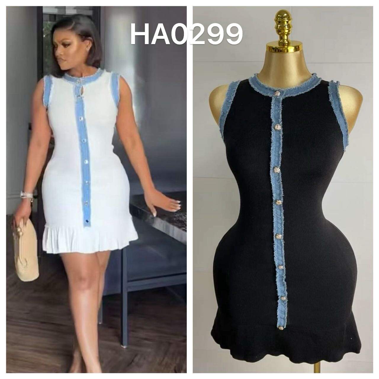 HA0299