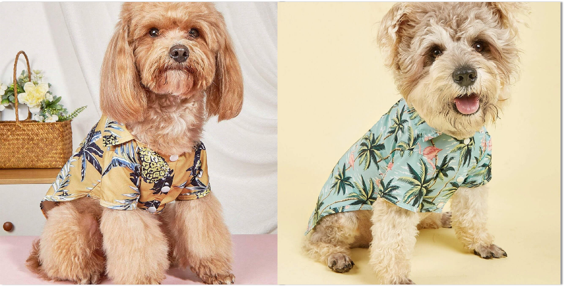 custom high-quality dogs products