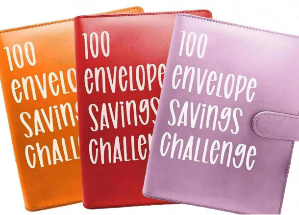 Savings Challenge Binder