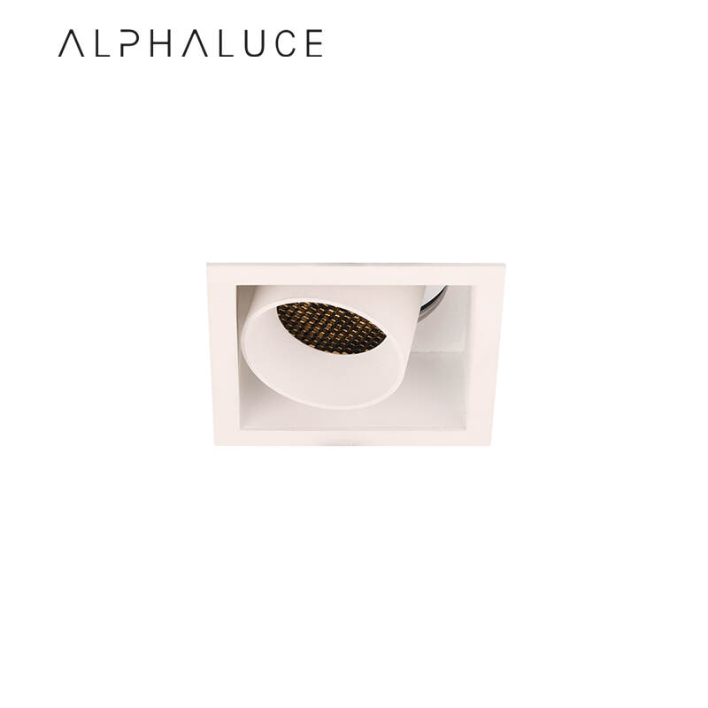 ALDL1275.jpg