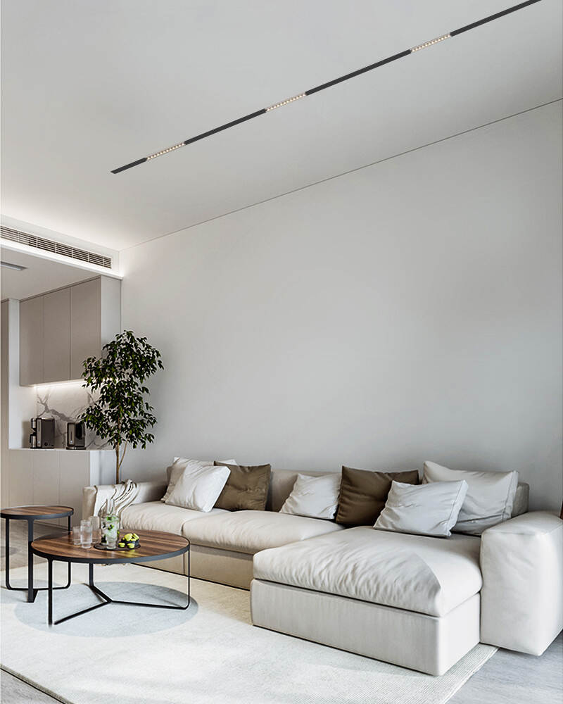 linear track light