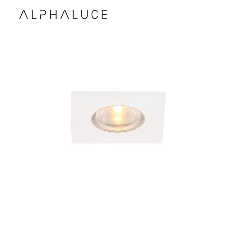 ALDL1243.jpg
