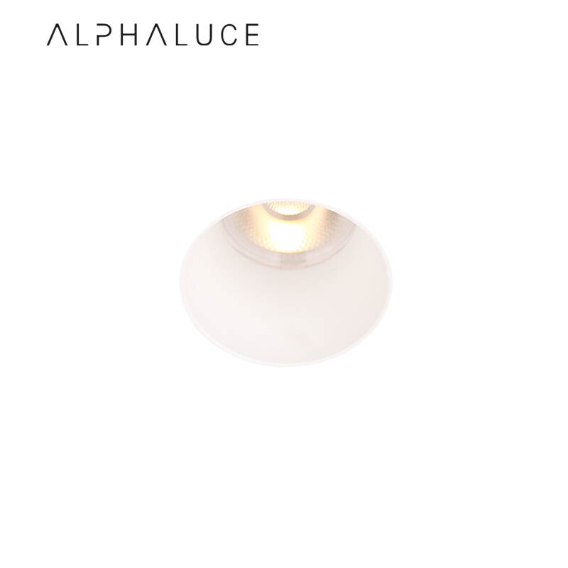 ALDL1226.jpg