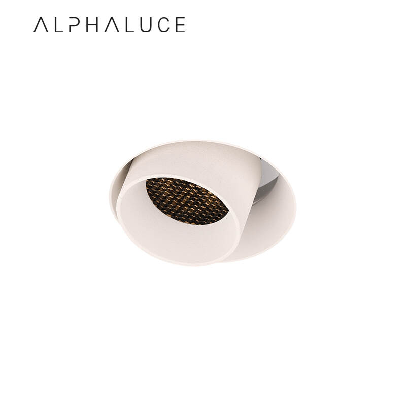 ALDL1306.jpg