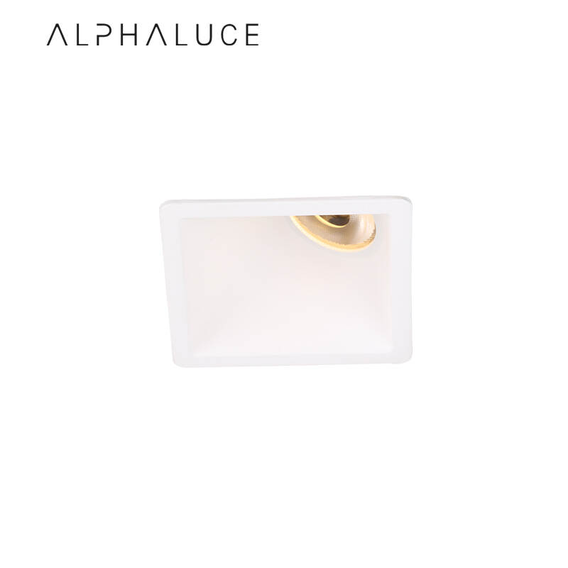 ALDL0390.jpg