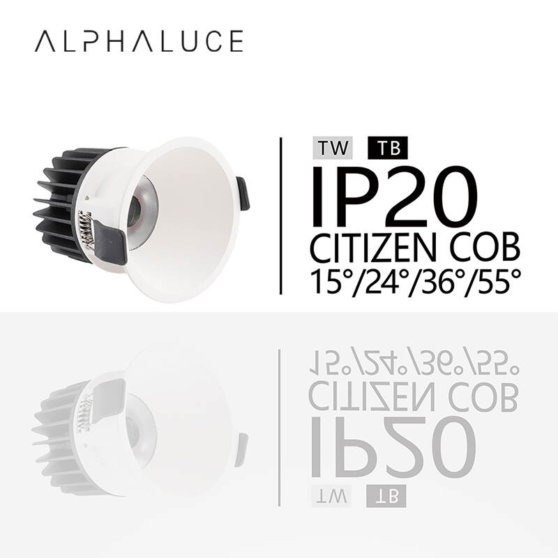 ALDL09978.jpg
