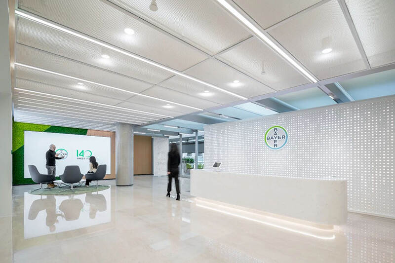bayer (2).jpg