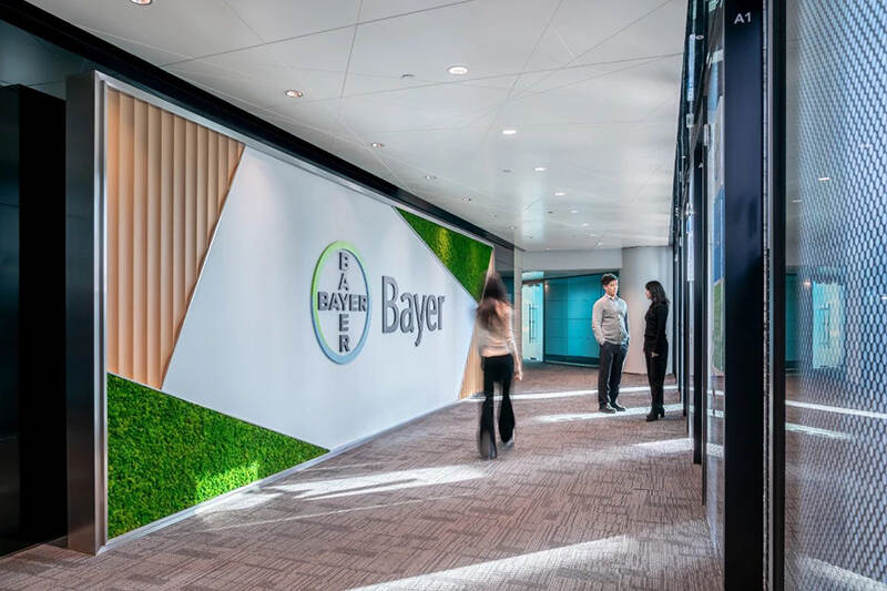 bayer (1).jpg