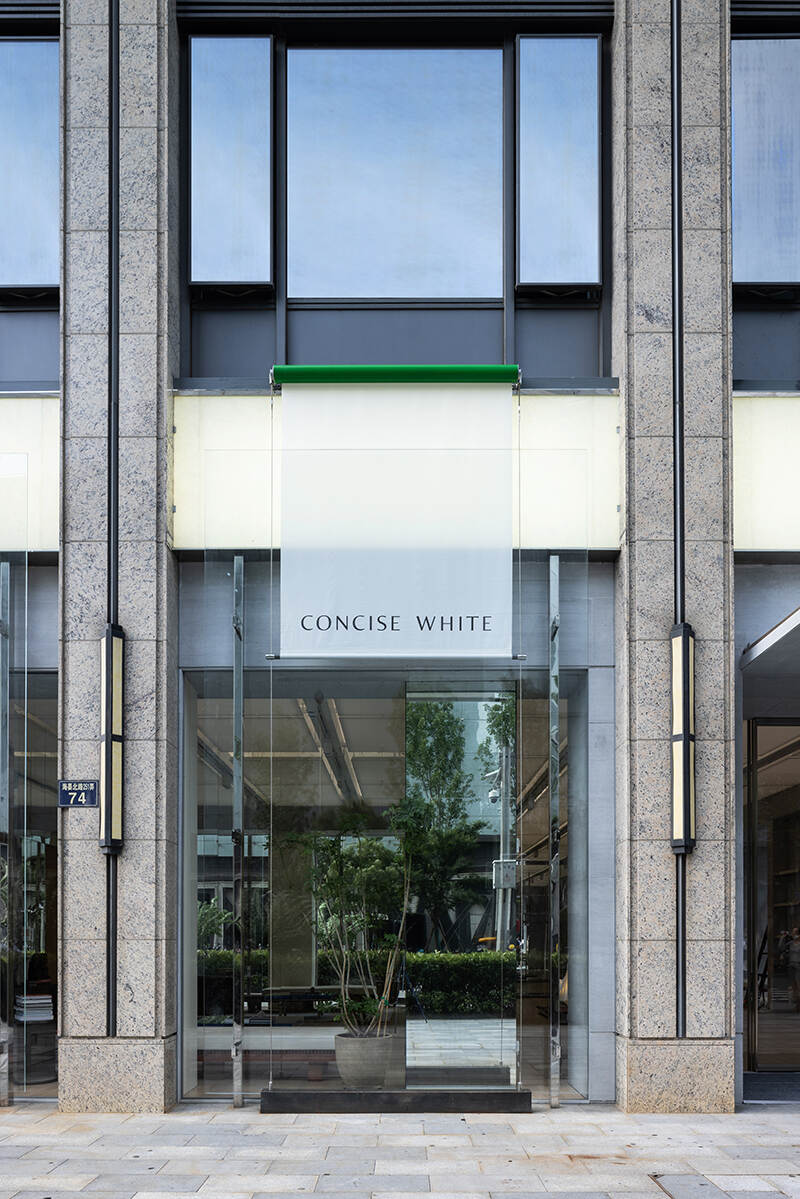 CONCISE WHITE (1).jpg