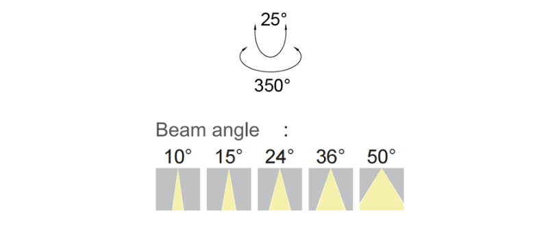 Directional Flexibility.png