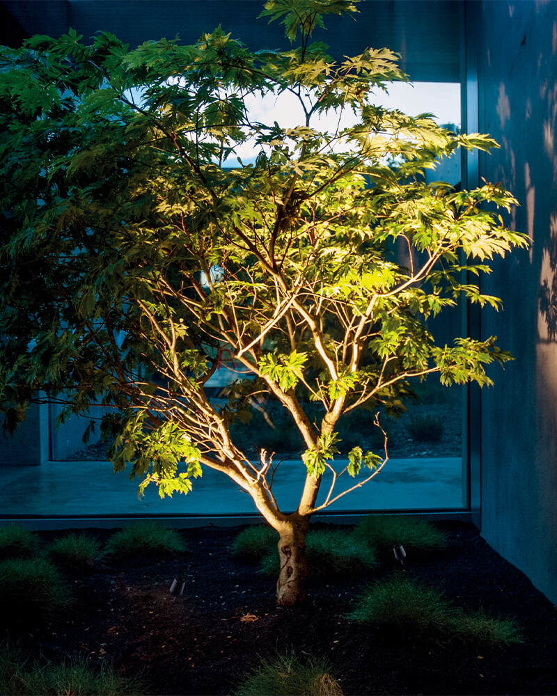 ALSL0085场景.jpg