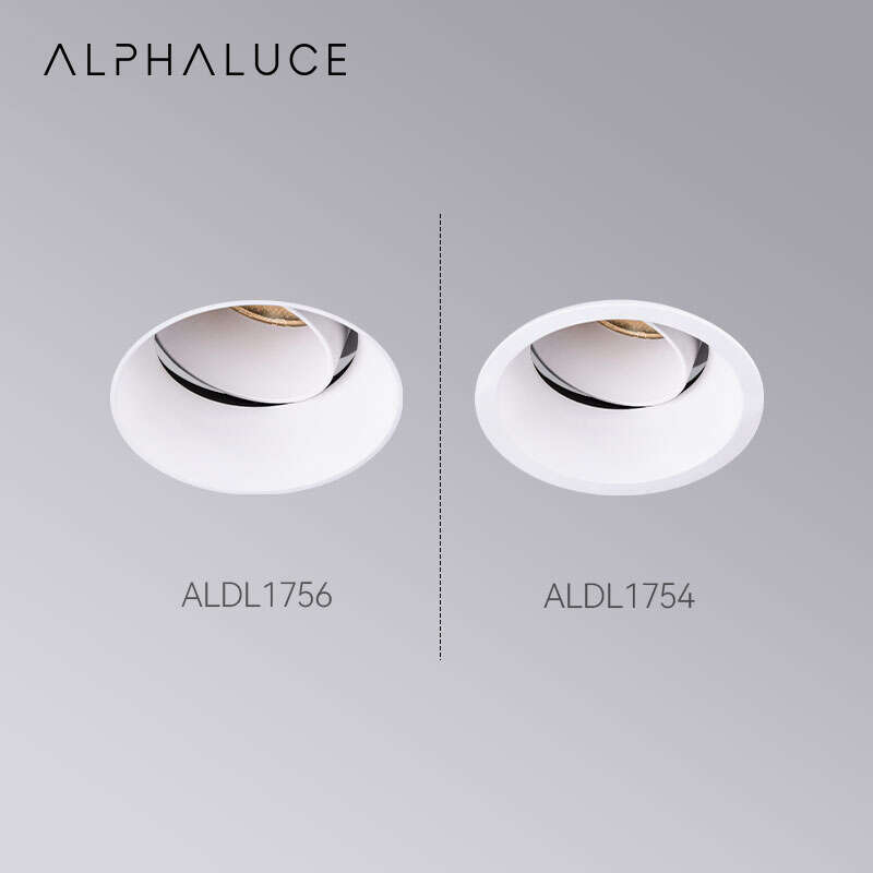 downlight (3).jpg