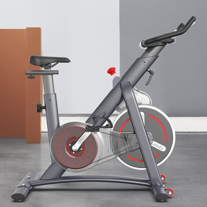 DC-019 Home Use Body Fit Spinning Bike