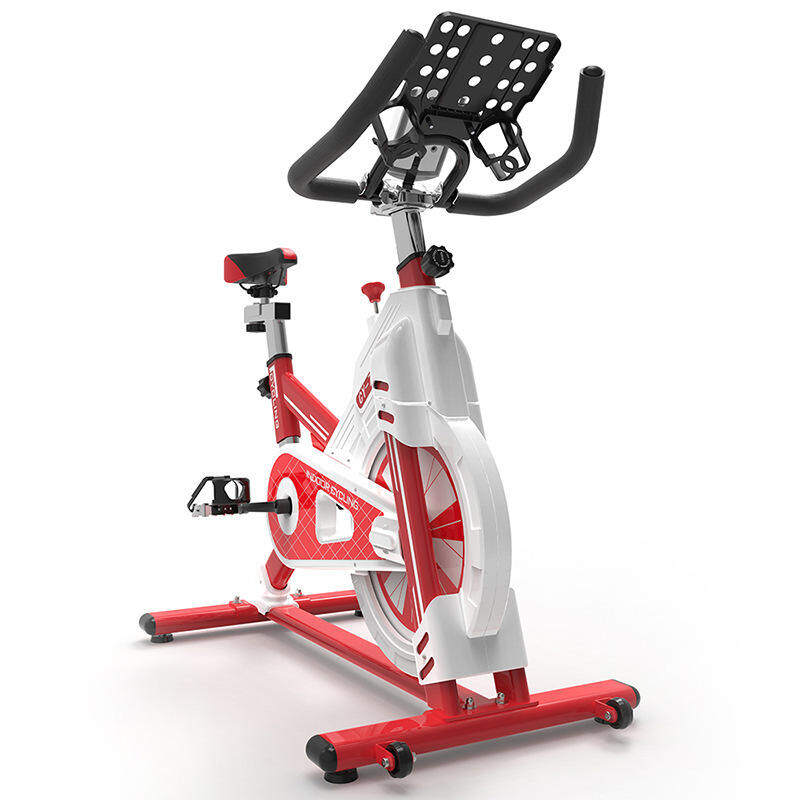 sunny spin bike magnetic, top magnetic spin bikes, magnetic spin bike, magnetic spin bike for sale, magnetic flywheel spin bike