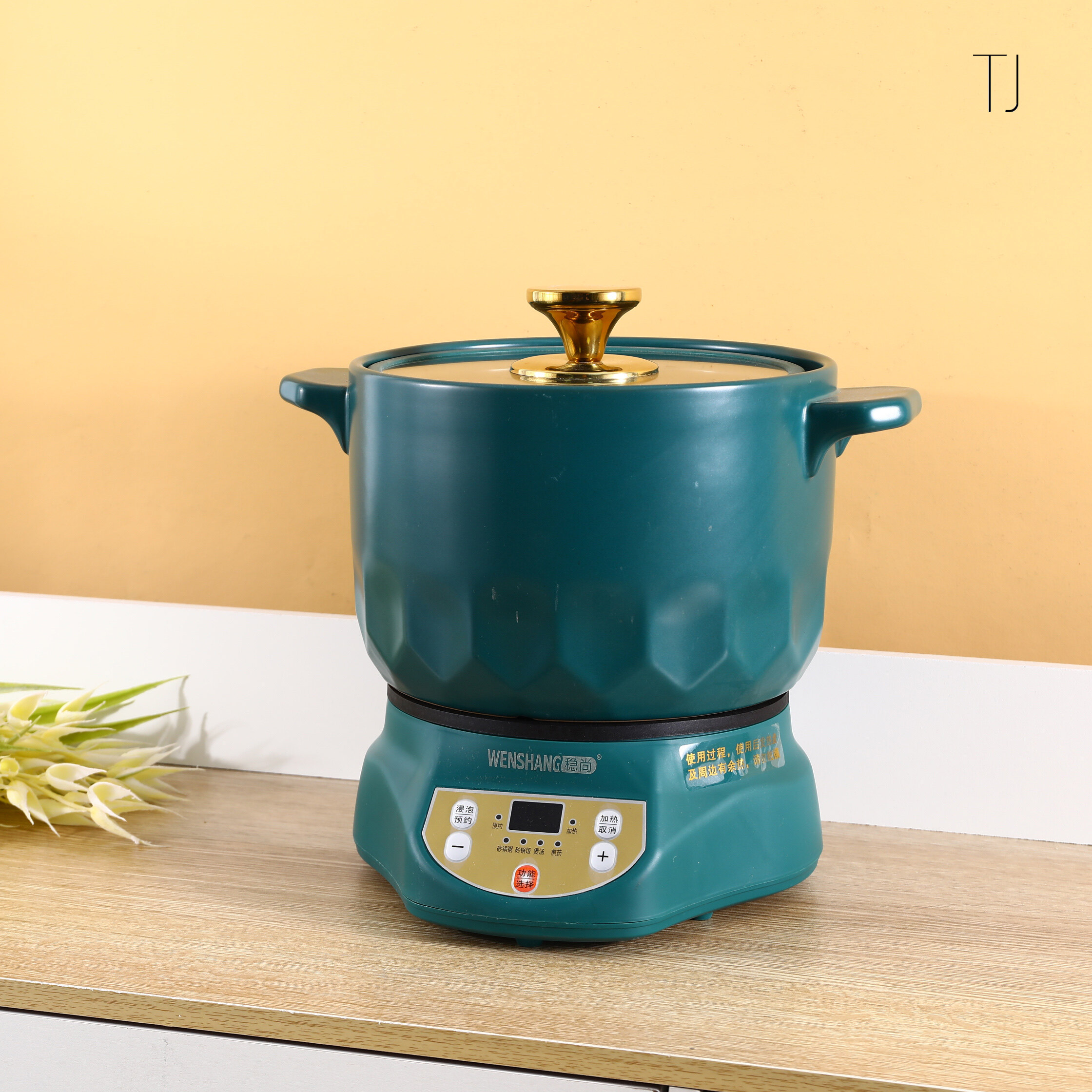 Colorful Ceramic Electric Casserole Pot With Gold Edge
