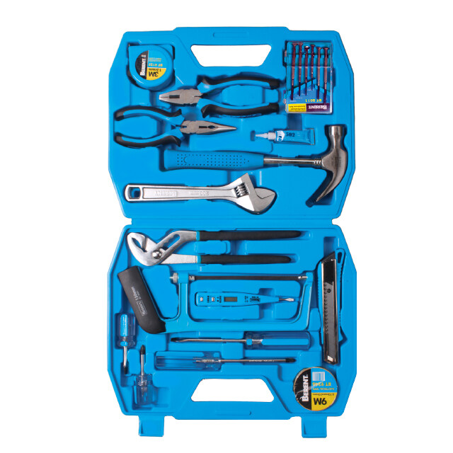 BT8148  21pcs Combination Tool Set