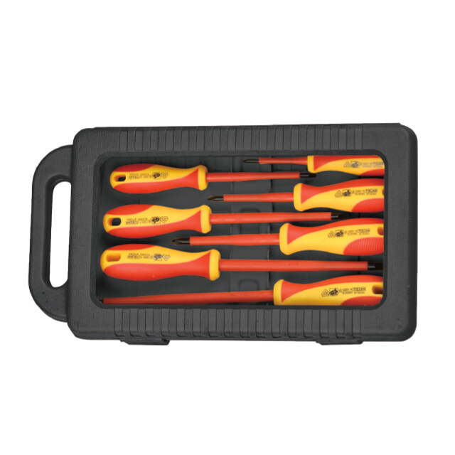 BT4895 VDE Tool Set