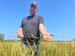 Customer Reviews: Why Farmers Choose Sunglow Agrichem for Their Fertilizer Needs
