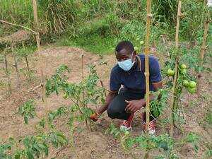 Success Stories: How Our Fertilizers Transformed Agricultural Practices