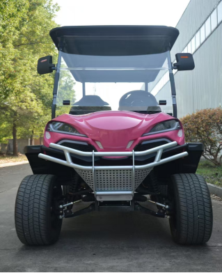 BUGGYPRO GOLF CART