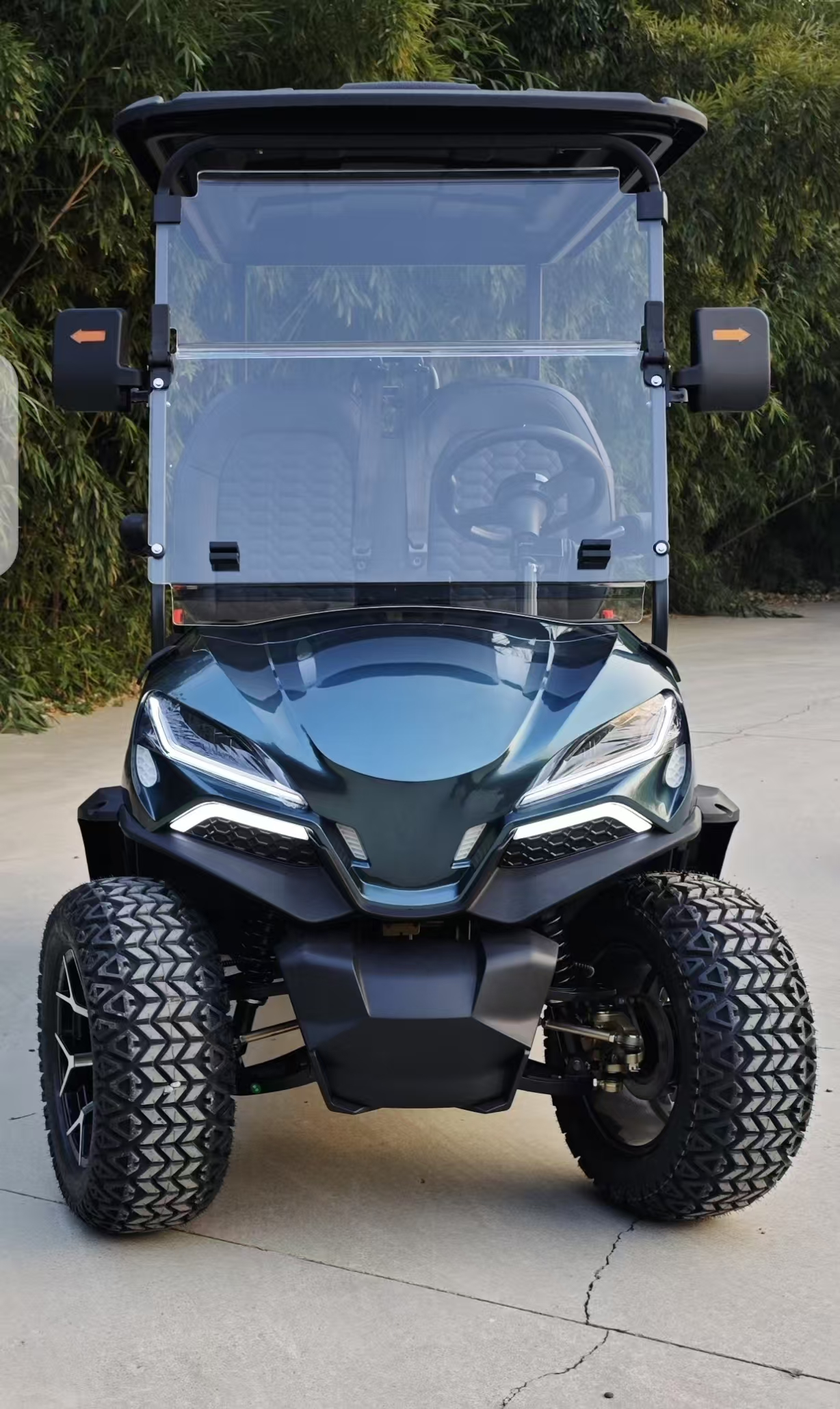 BUGGYPRO GOLF CART