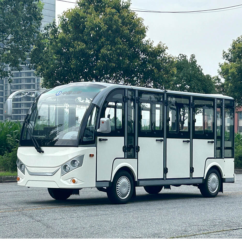 11-passenger SEALED sightseeing car