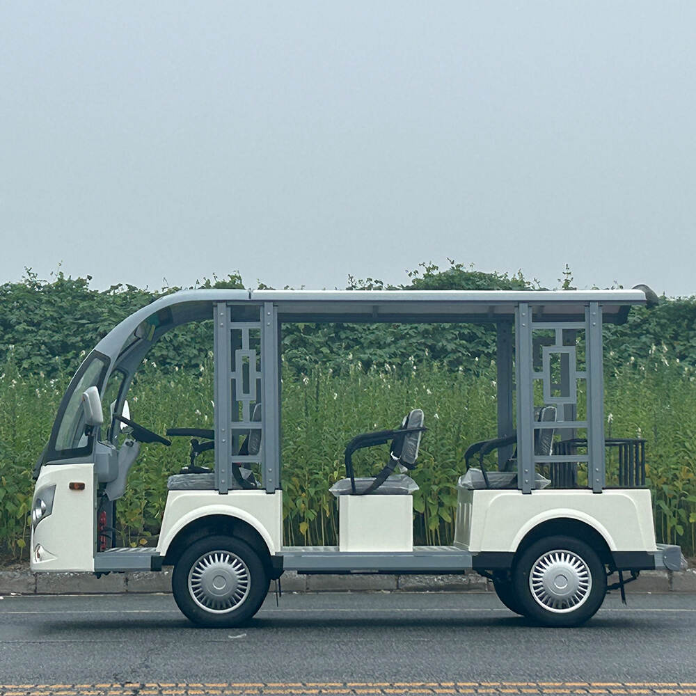 8-seater open sightseeing car