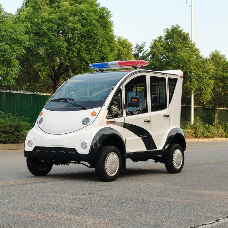 4-5-seater SEALED electric patrol car