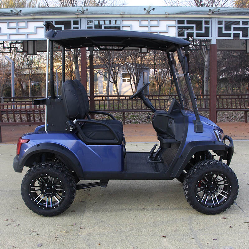 BUGGYPRO GOLF CART