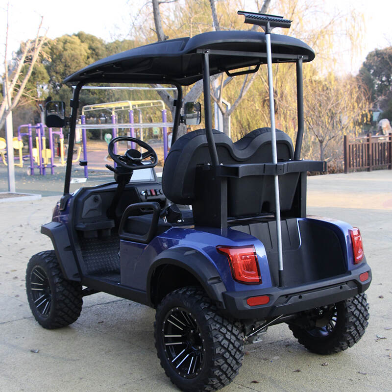 BUGGYPRO GOLF CART